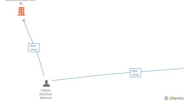 Vinculaciones societarias de BIGDATACOMPANY SL