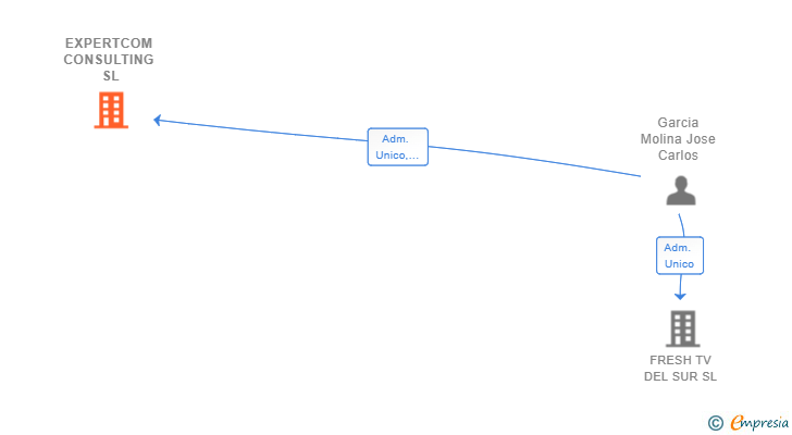 Vinculaciones societarias de EXPERTCOM CONSULTING SL
