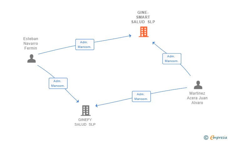 Vinculaciones societarias de GINE-SMART SALUD SLP