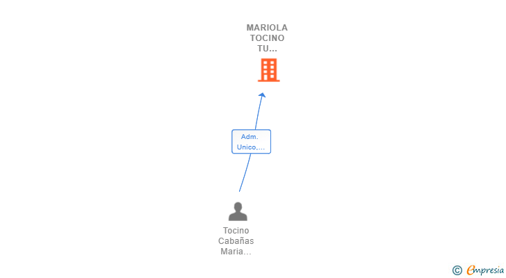 Vinculaciones societarias de MARIOLA TOCINO TU AGENTE INMOBILIARIA SL (EXTINGUIDA)