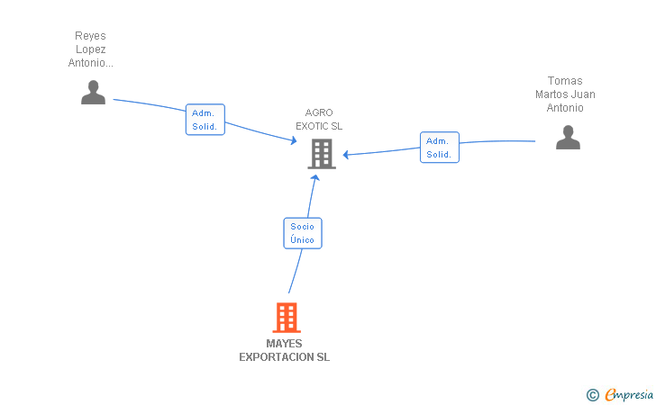 Vinculaciones societarias de MAYES EXPORTACION SL