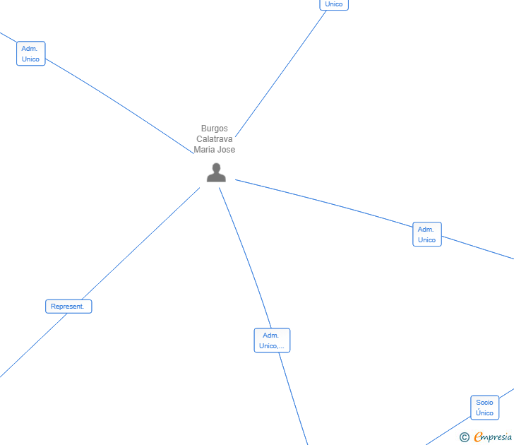 Vinculaciones societarias de TARANIS CAPITAL SL