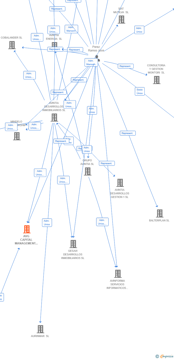 Vinculaciones societarias de AVG CAPITAL MANAGEMENT 13 SL