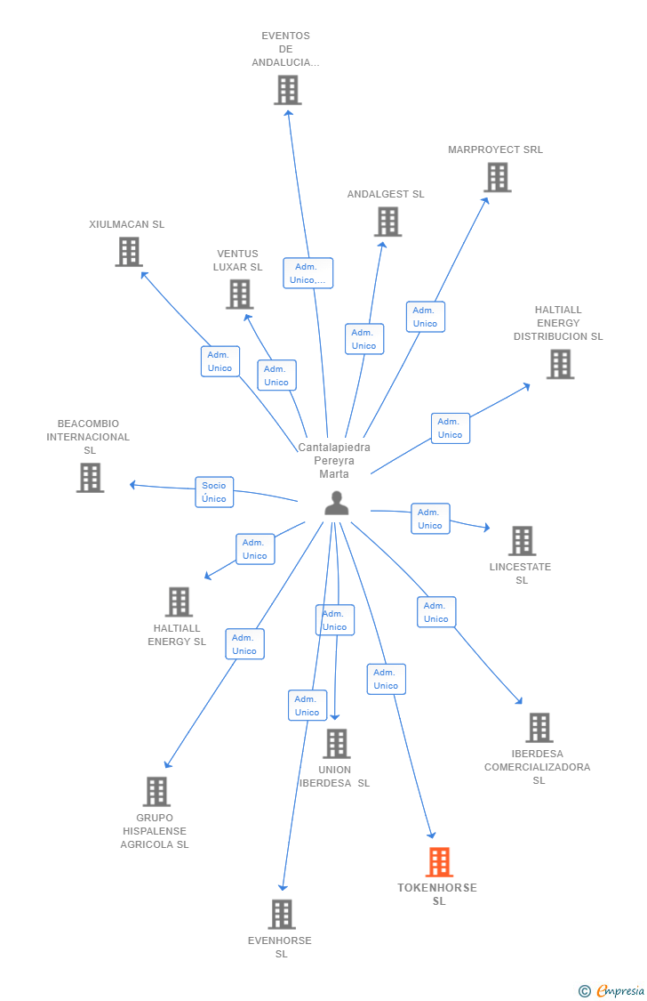Vinculaciones societarias de TOKENHORSE SL