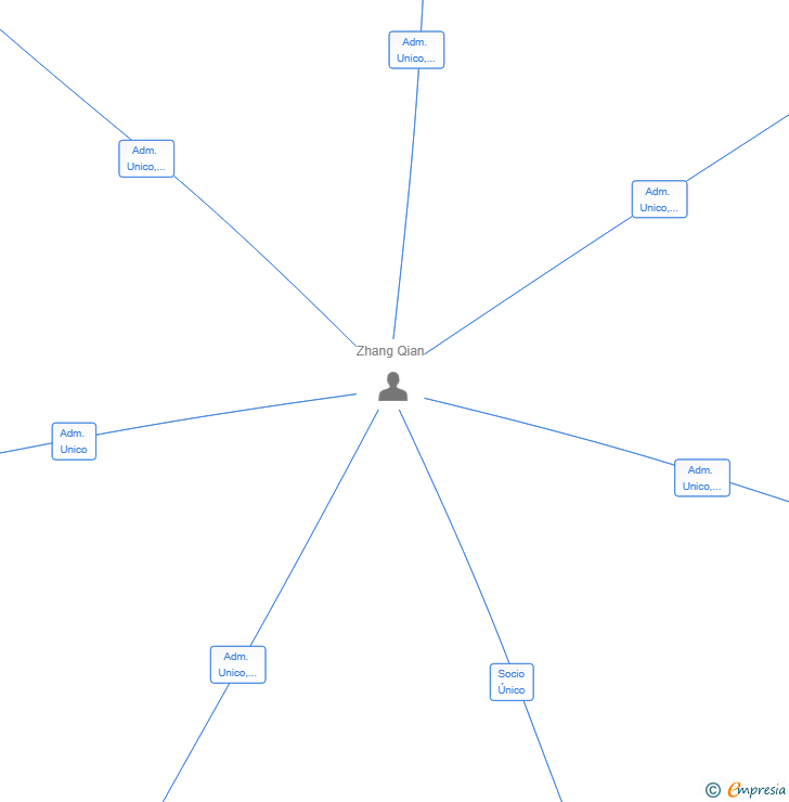 Vinculaciones societarias de ROYAL TRAVEL FLY SL