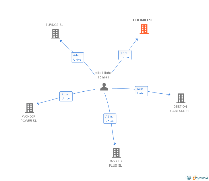 Vinculaciones societarias de BOLIMILI SL