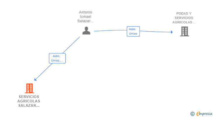 Vinculaciones societarias de SERVICIOS AGRICOLAS SALAZAR LORCA SL