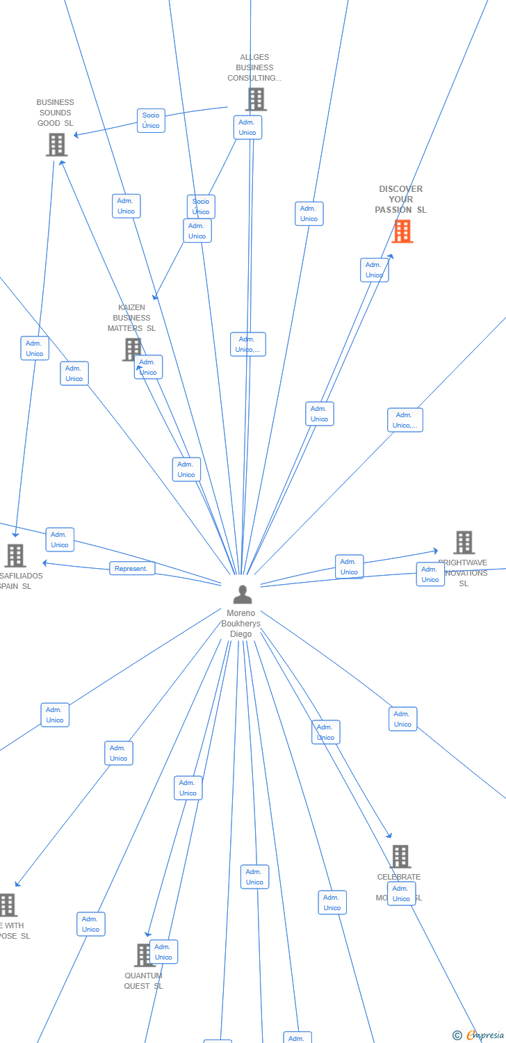 Vinculaciones societarias de DISCOVER YOUR PASSION SL