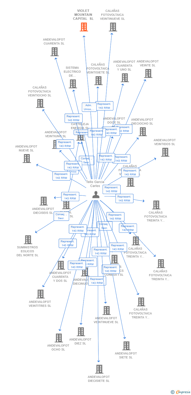 Vinculaciones societarias de VIOLET MOUNTAIN CAPITAL SL