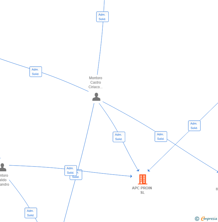 Vinculaciones societarias de APC PROIN SL