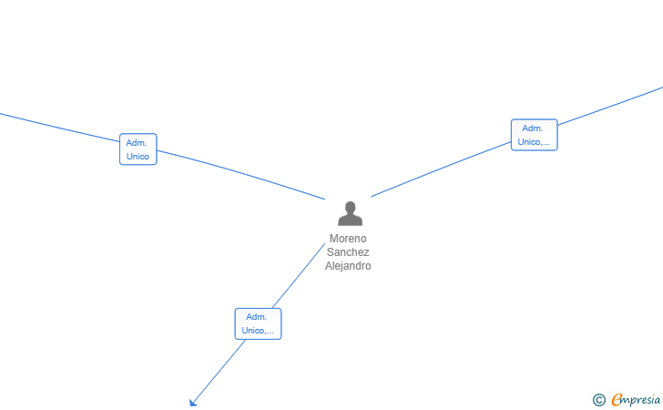 Vinculaciones societarias de OPERACIONES ALEGON SL