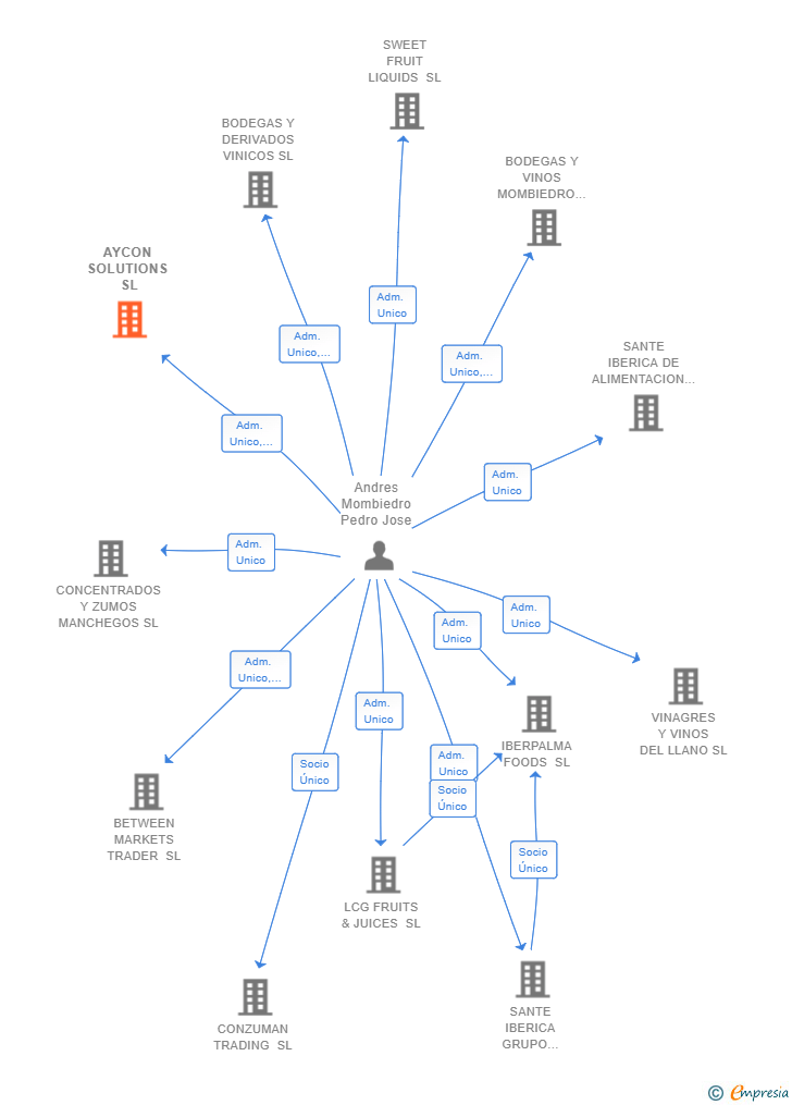 Vinculaciones societarias de AYCON SOLUTIONS SL