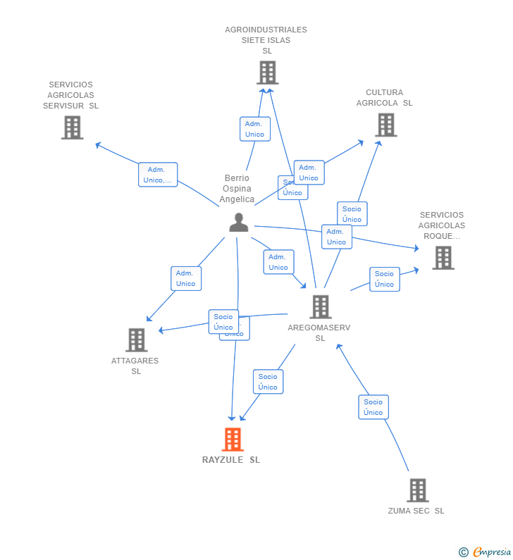 Vinculaciones societarias de RAYZULE SL