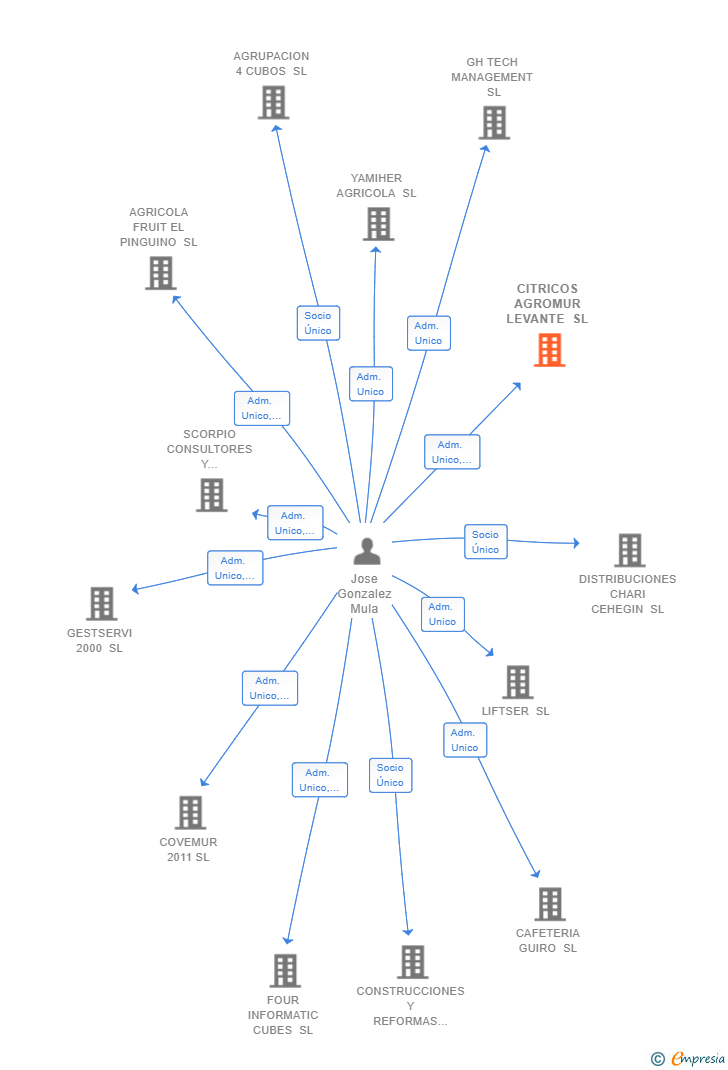 Vinculaciones societarias de CITRICOS AGROMUR LEVANTE SL