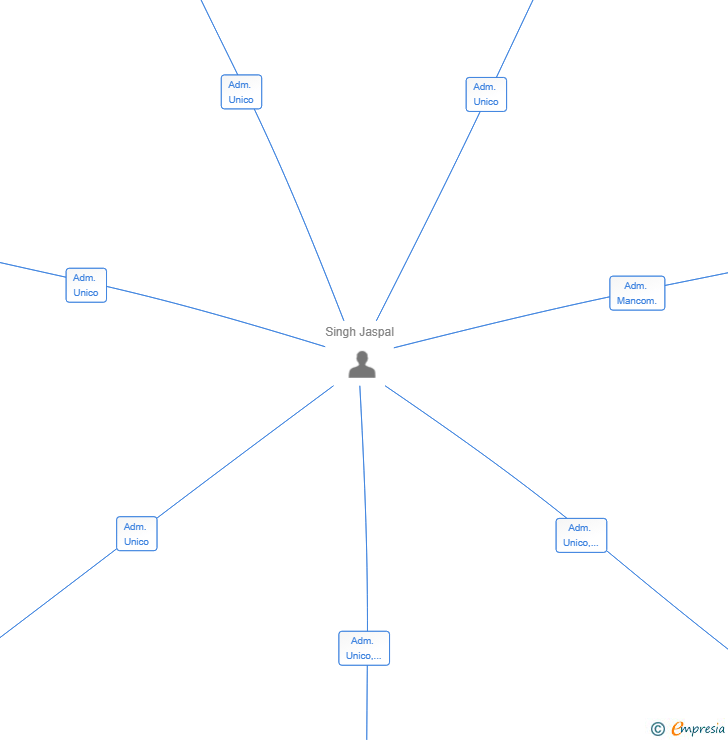 Vinculaciones societarias de SINGH ASSORTED SL