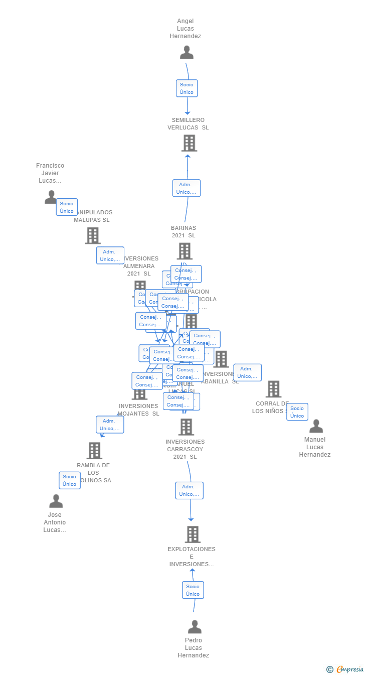 Vinculaciones societarias de HIJOS DE MANUEL LUCAS GONZALEZ SL