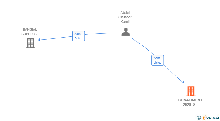 Vinculaciones societarias de BONALIMENT 2020 SL