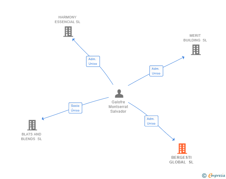 Vinculaciones societarias de BERGESTI GLOBAL SL