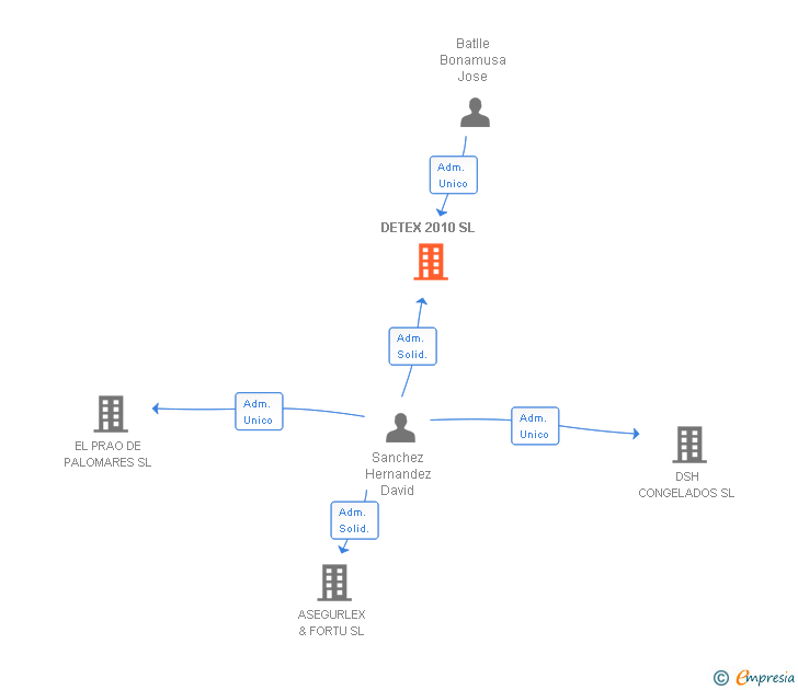 Vinculaciones societarias de DETEX 2010 SL
