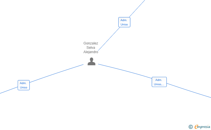 Vinculaciones societarias de NAIDICON INVERSIONES SL