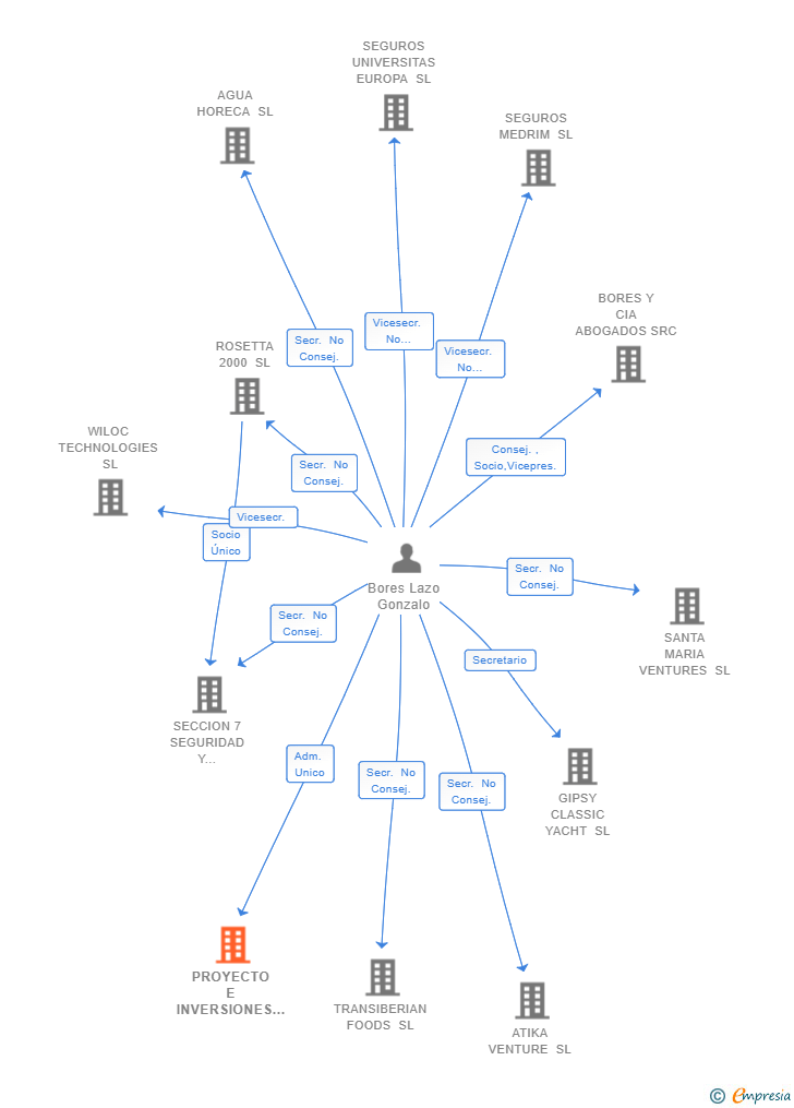 Vinculaciones societarias de PROYECTO E INVERSIONES BOROSA SL