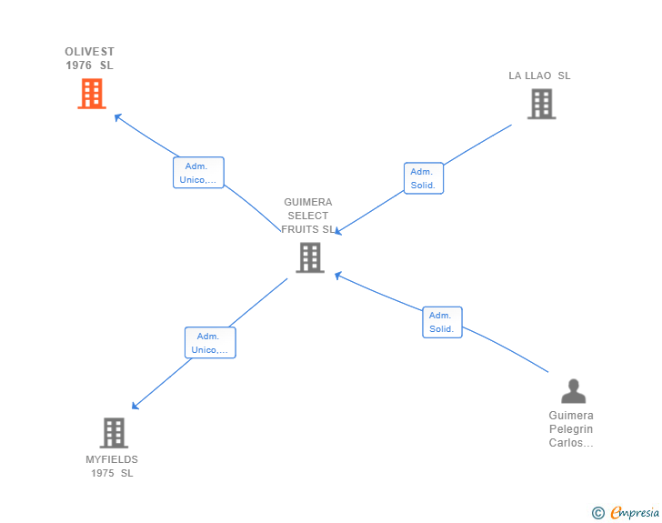 Vinculaciones societarias de OLIVEST 1976 SL