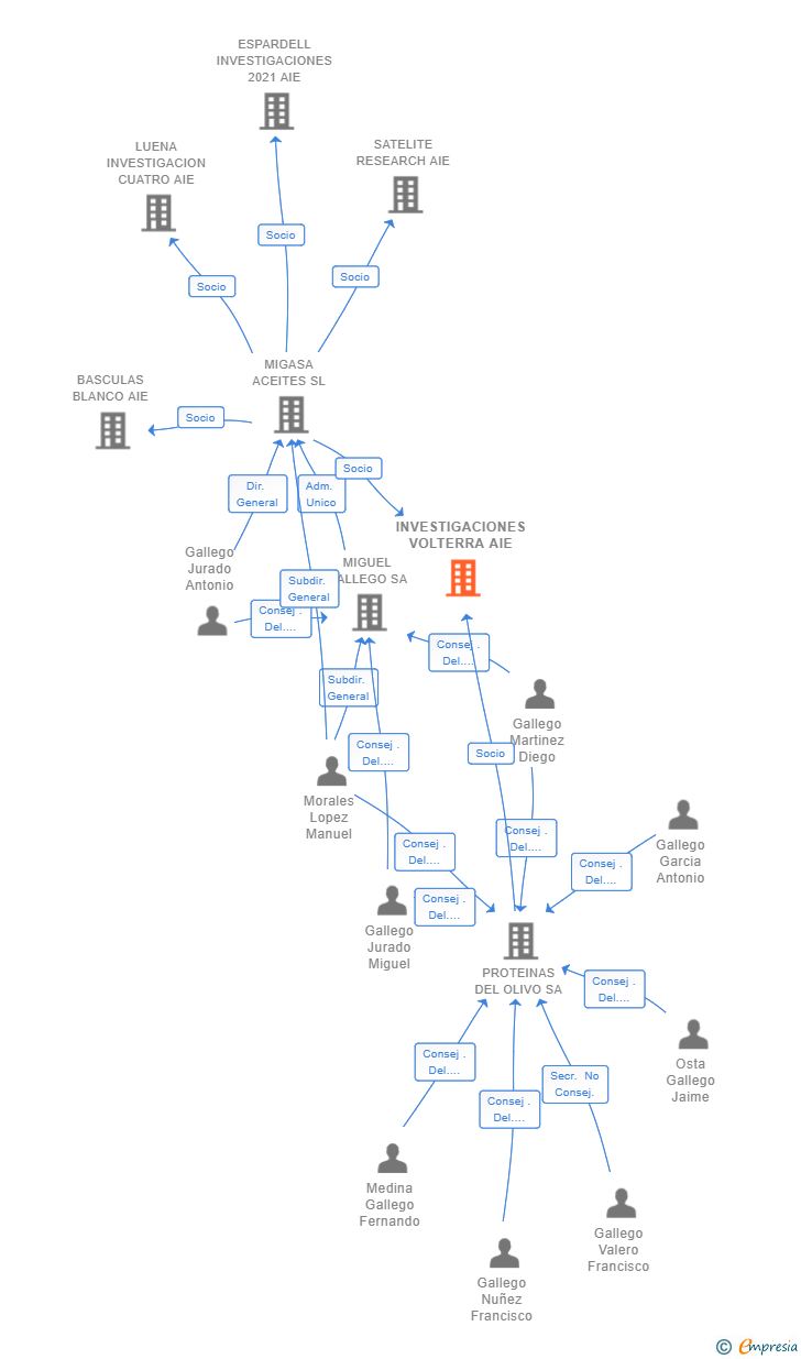 Vinculaciones societarias de INVESTIGACIONES VOLTERRA AIE (EXTINGUIDA)