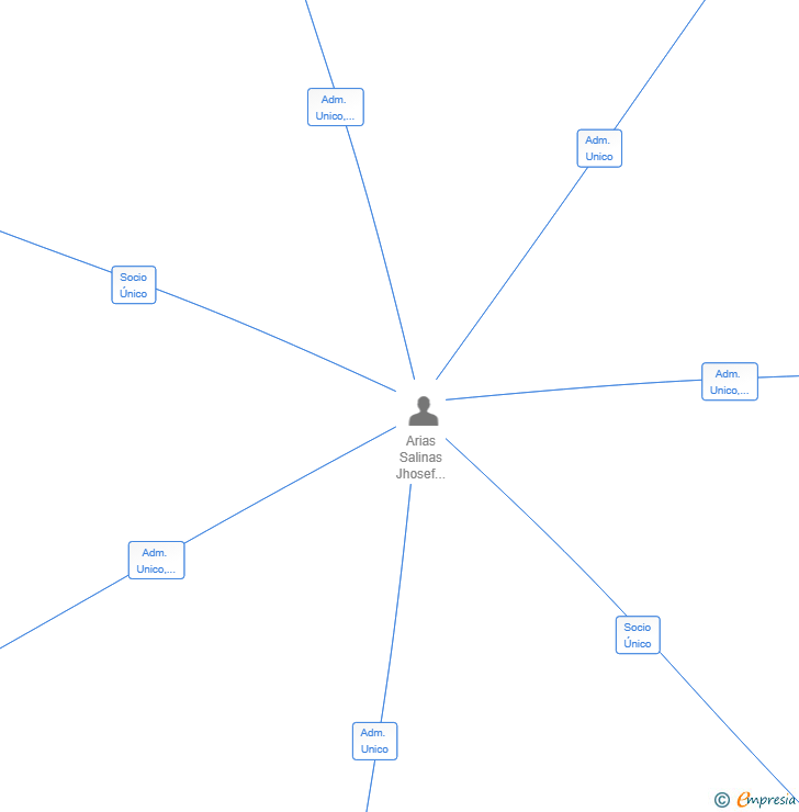 Vinculaciones societarias de ADN ORIGEN PERU SL