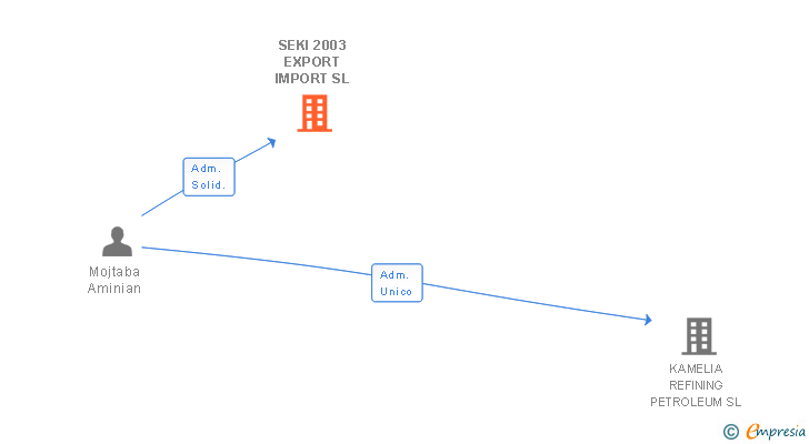 Vinculaciones societarias de SEKI 2003 EXPORT IMPORT SL