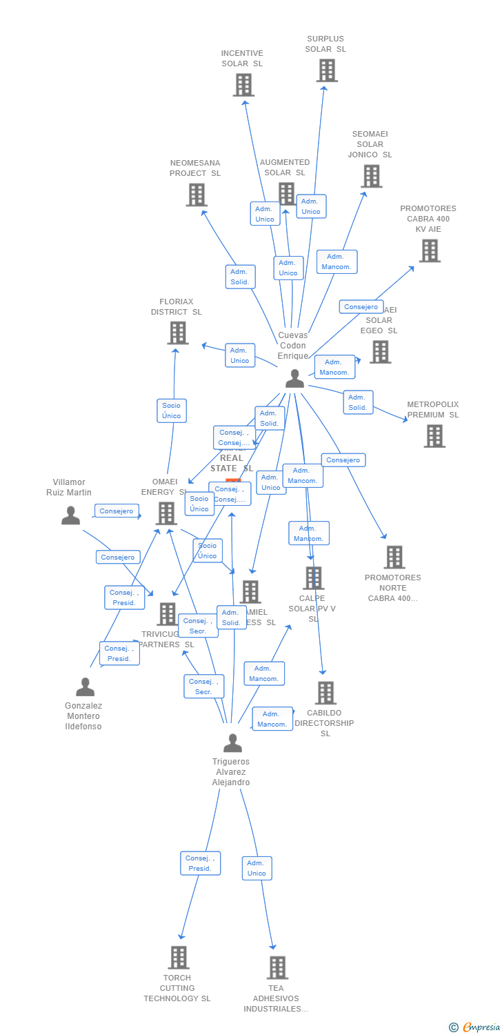 Vinculaciones societarias de OMAEI REAL STATE SL