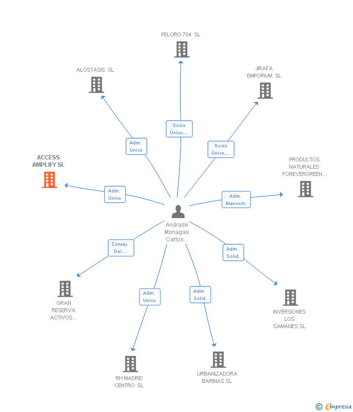 Vinculaciones societarias de ACCESS AMPLIFY SL