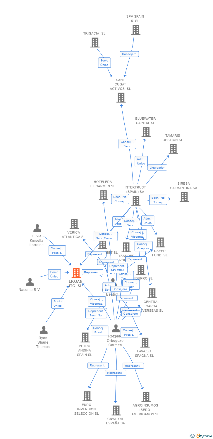 Vinculaciones societarias de LIOJAN ITG SL