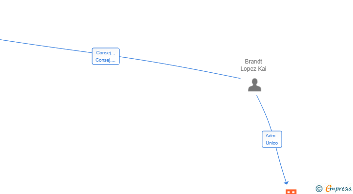 Vinculaciones societarias de BRANDT GROUP SL