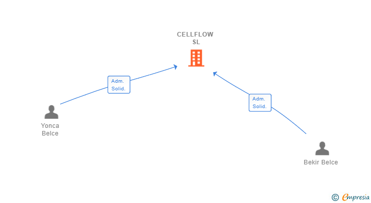 Vinculaciones societarias de CELLFLOW SL