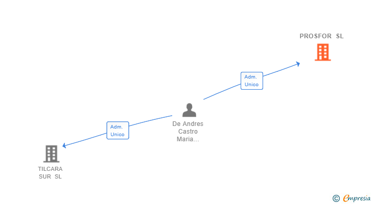 Vinculaciones societarias de PROSFOR SL