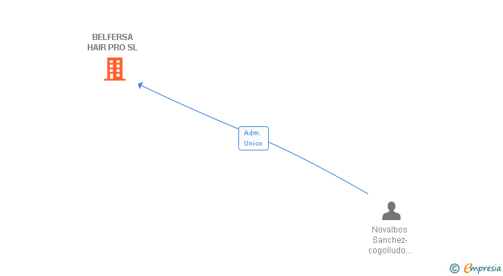 Vinculaciones societarias de BELFERSA HAIR PRO SL