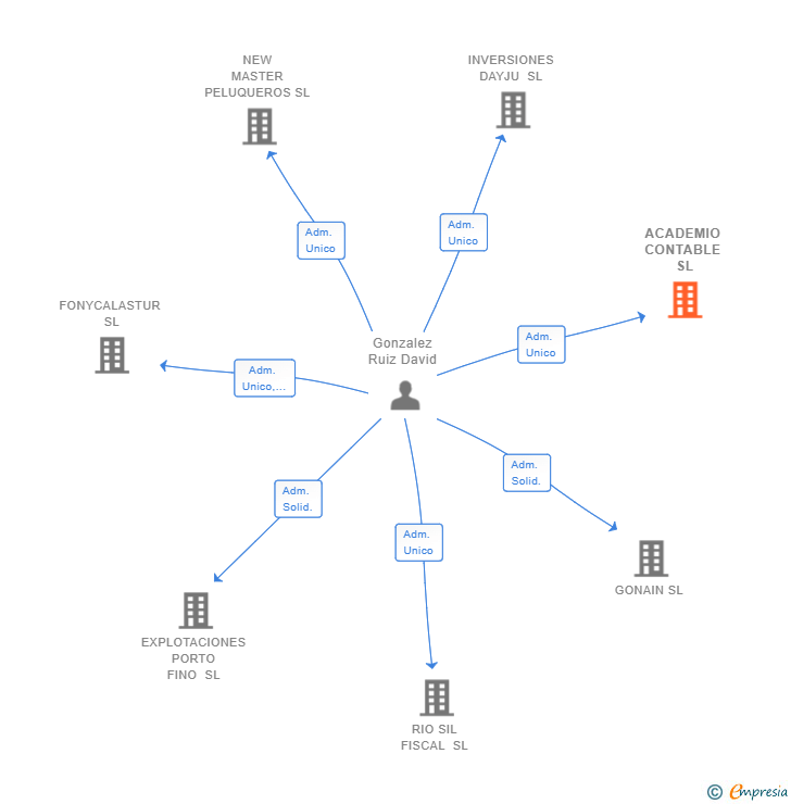 Vinculaciones societarias de ACADEMIO CONTABLE SL