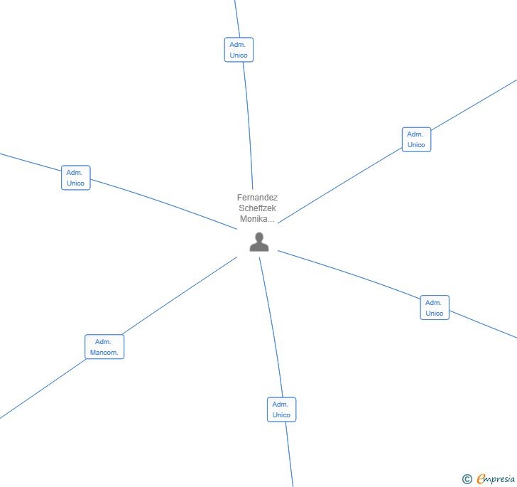 Vinculaciones societarias de AFFAMATA PLAYA DE PALMA SL