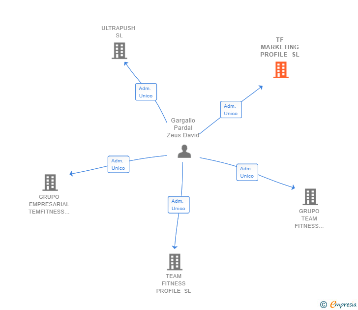 Vinculaciones societarias de TF MARKETING PROFILE SL