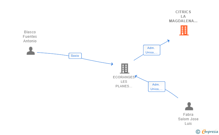 Vinculaciones societarias de CITRICS LA MAGDALENA SL