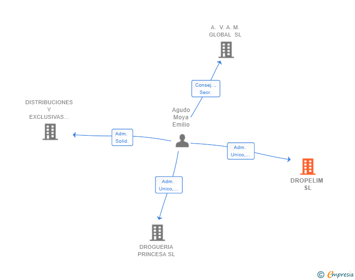 Vinculaciones societarias de DROPELIM SL
