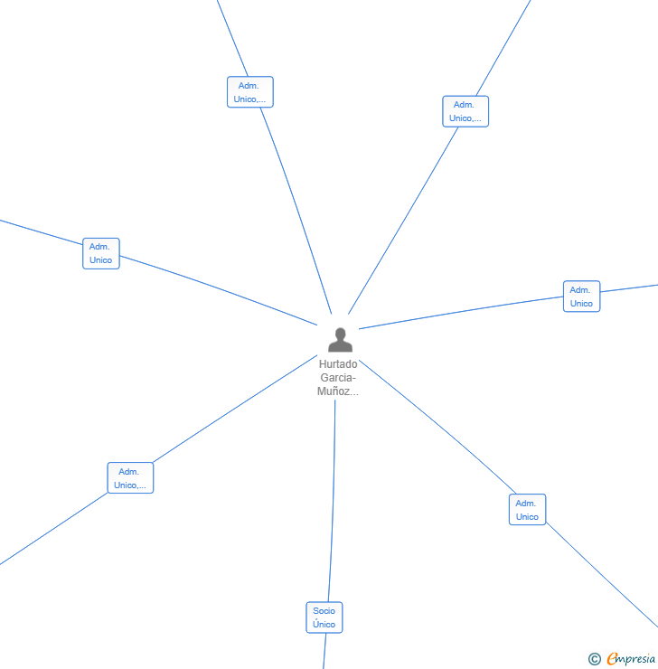 Vinculaciones societarias de MOMENTUM LEDGER SL
