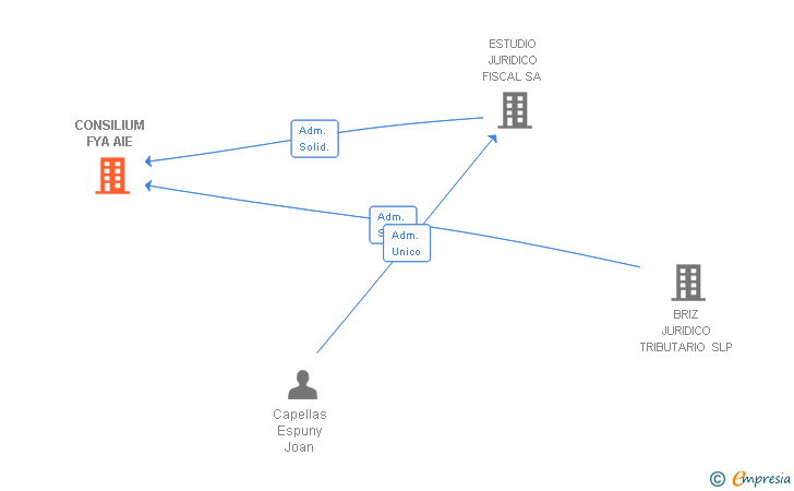 Vinculaciones societarias de CONSILIUM FYA AIE