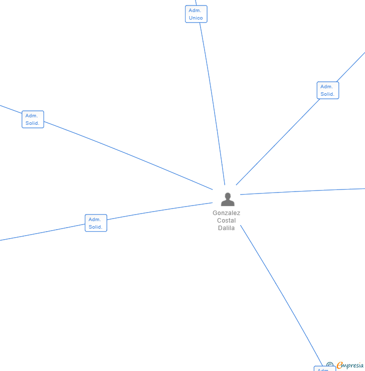 Vinculaciones societarias de VENEZUELAPAPER SL