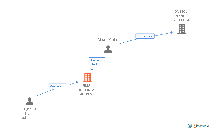 Vinculaciones societarias de BMS HOLDINGS SPAIN SL