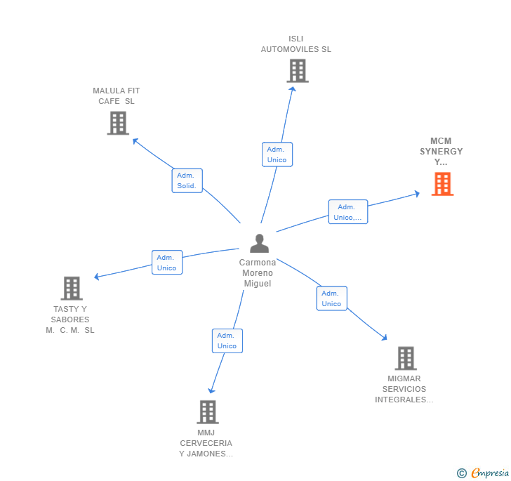 Vinculaciones societarias de MCM SYNERGY Y CONSTRUCCION SL