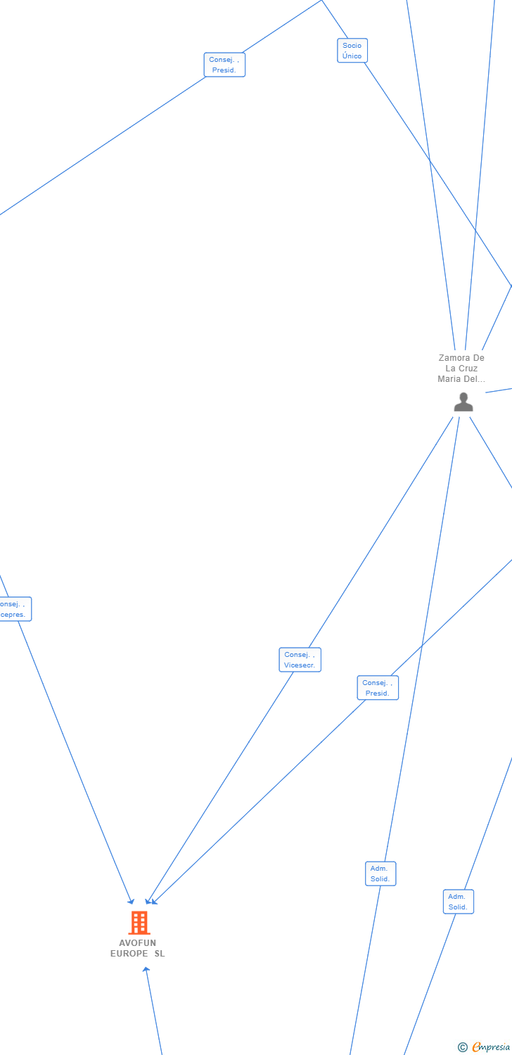 Vinculaciones societarias de AVOFUN EUROPE SL
