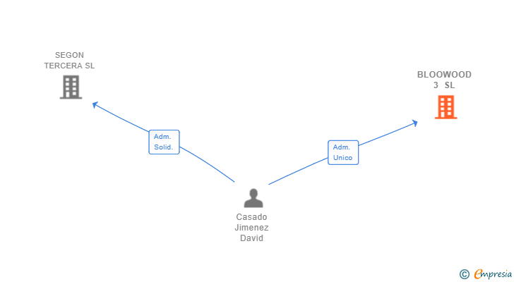 Vinculaciones societarias de BLOOWOOD 3 SL