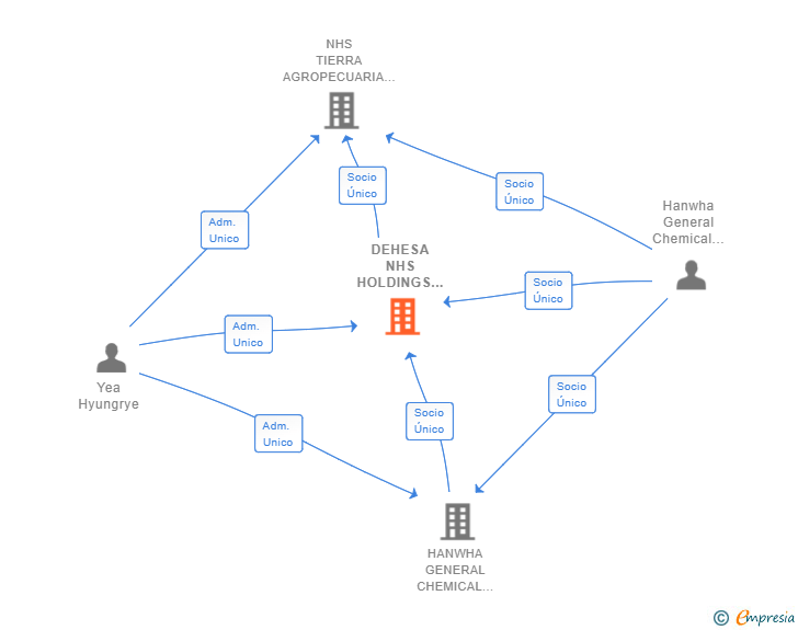 Vinculaciones societarias de DEHESA NHS HOLDINGS SL