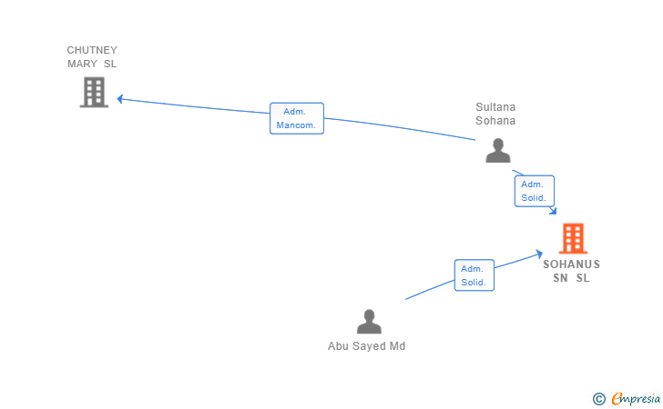 Vinculaciones societarias de SOHANUS SN SL